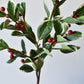 37" Faux Variegated Holly Branch