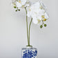 20" Faux Phalaenopsis Orchid in Blue/White Container - 2OR