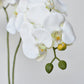 20" Faux Phalaenopsis Orchid in Blue/White Container - 2OR