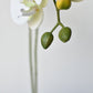 20" Faux Phalaenopsis Orchid in Blue/White Container - 2OR