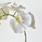 20" Faux Phalaenopsis Orchid in Blue/White Container - 2OR