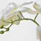 20" Faux Phalaenopsis Orchid in Blue/White Container - 2OR