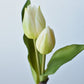 8" Faux Real Touch White Tulips in Bulb w/pick