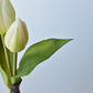8" Faux Real Touch White Tulips in Bulb w/pick