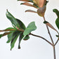 40" Faux Magnolia Leaf Branch
