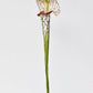 28" Faux Green/Burgundy Pitcher Plant Stem