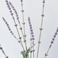 33" Faux Lavender Stem