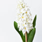 12.5" Faux White Hyacinth Stem