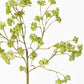 16" Faux Soft Green Sedum Berry Stem