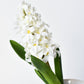 12.5" Faux White Hyacinth Stem