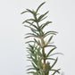 24" Faux Rosemary Bush