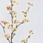 36" Faux Quince Blossom Apricot Cream Stem Flowering Branch