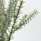24" Faux Rosemary Bush
