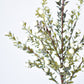 21" Faux White Berry Boxwood Greenery Stem