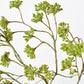 16" Faux Soft Green Sedum Berry Stem