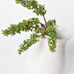 12" Faux Green Sedum Berry Stem