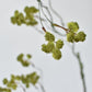 30" Faux Mini Fuzzy Blossom Branch