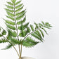 22" Faux Forest Fern Stem Bundle