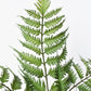 22" Faux Forest Fern Stem Bundle