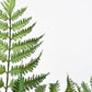 22" Faux Forest Fern Stem Bundle