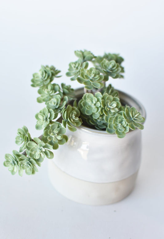 5" Faux Green Sedum Succulent Pick