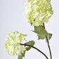 30" Faux Green Snowball Hydrangea Stem