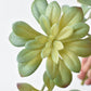 11.5" Faux Trailing Soft Aeonium Spray Stem