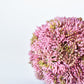 4" Faux Mauve Sedum Ball