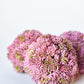 4" Faux Mauve Sedum Ball