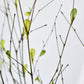 26" Branches with Faux Green Leaves