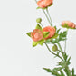 22" Faux Mini Peach Ranunculus Stem