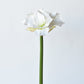 29" Faux White Amaryllis Stem