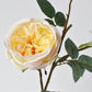 29" Faux Cabbage Rose Stem Yellow / Apricot