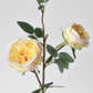 29" Faux Cabbage Rose Stem Yellow / Apricot