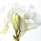 29" Faux White Amaryllis Stem