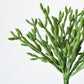 13" Faux Green Pencil Cactus Stem Succulent