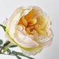 29" Faux Cabbage Rose Stem Yellow / Apricot