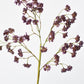 16" Faux Purple Soft Sedum Berry Stem