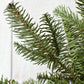 24" Faux Green Spruce Real Touch Wreath w/Faux Pinecones