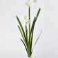 17.5" Faux Paperwhites w/ Bulb