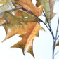 32" Faux Holly Leaf Stem Branch