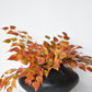 26" Faux Birch Leaf Stem Red / Orange / Yellow