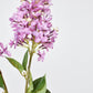 28.5" Faux Light Purple English Lilac Stem