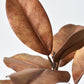 21" Faux Magnolia Leaf Stem : Tobacco