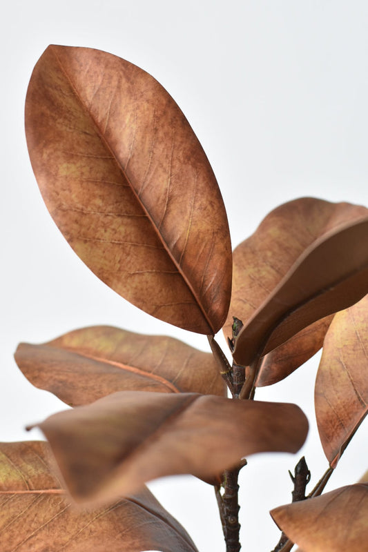 21" Faux Magnolia Leaf Stem : Tobacco