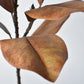 21" Faux Magnolia Leaf Stem : Tobacco