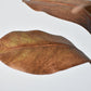21" Faux Magnolia Leaf Stem : Tobacco