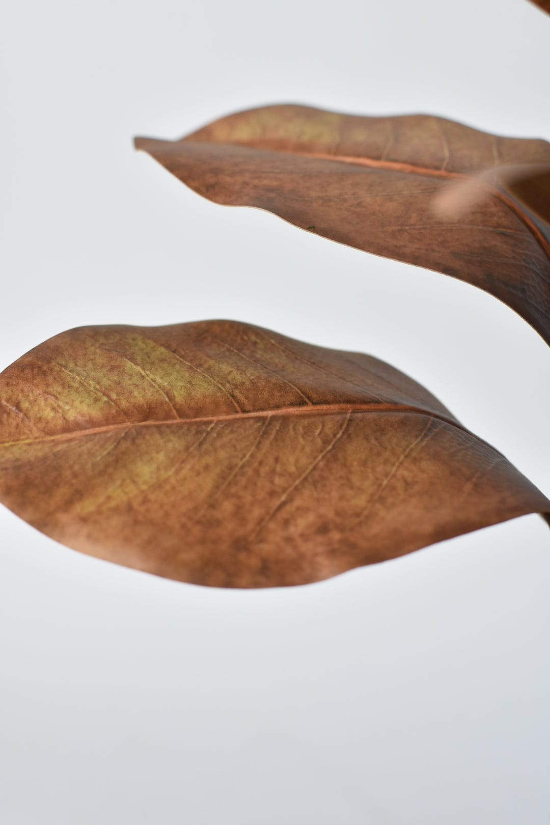 21" Faux Magnolia Leaf Stem : Tobacco
