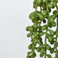 13" Faux String of Pearl Succulent Stem