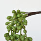 13" Faux String of Pearl Succulent Stem